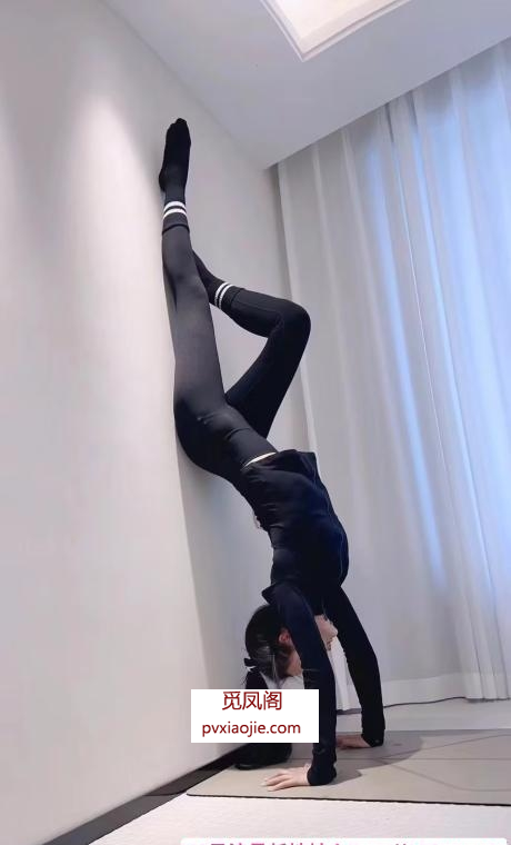 上城御姐小妖精