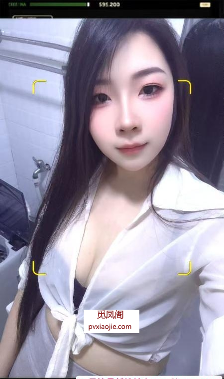 丝袜情趣大长腿