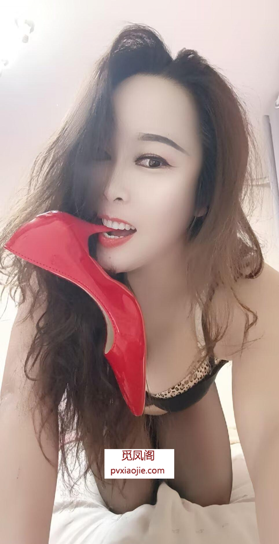 南稍门天花板柔情