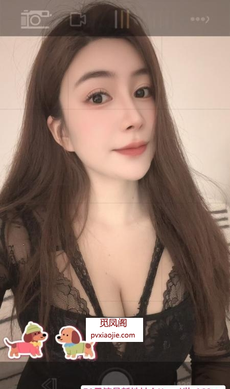 包河真大熊美女