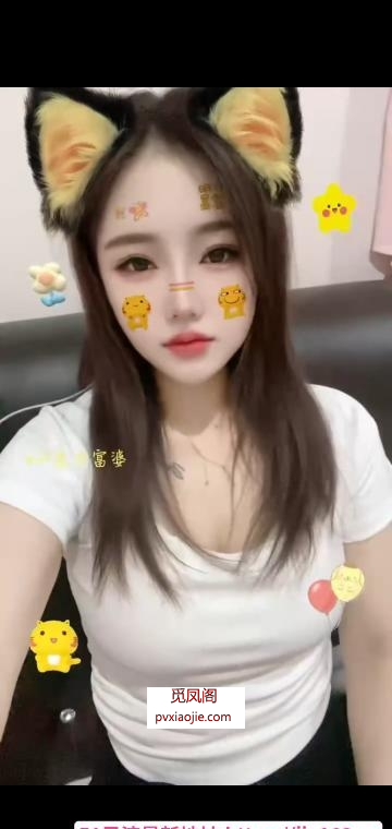 观澜长腿小野猫