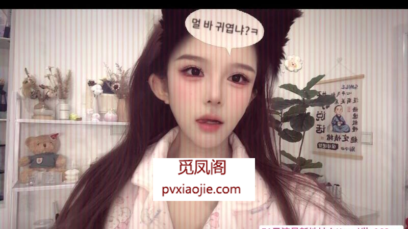 健身大熊爱好者